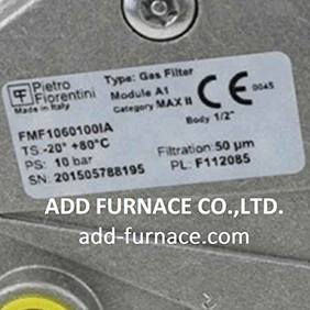 Pietro Fiorentini Gas Filter FMF1060100IA